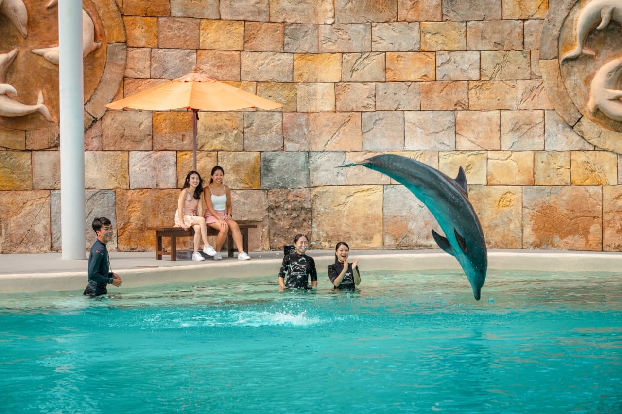 Dolphin Experiences at Marine Mammal Habitat Sentosa
