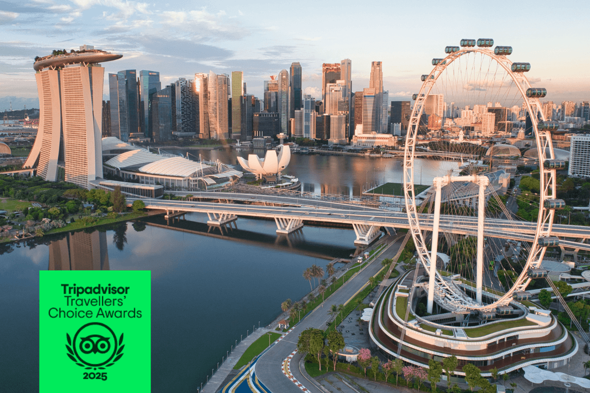 Singapore Flyer Ticket