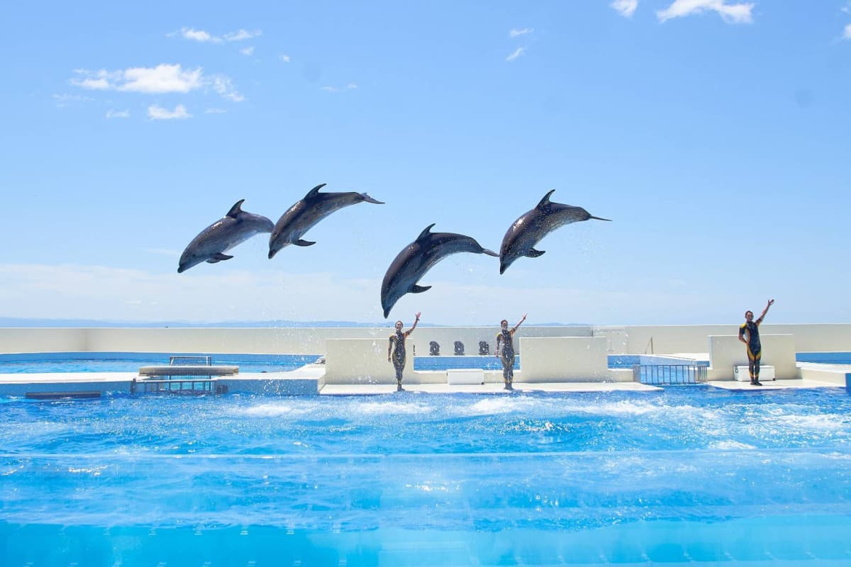 Kobe Suma Sea World Ticket