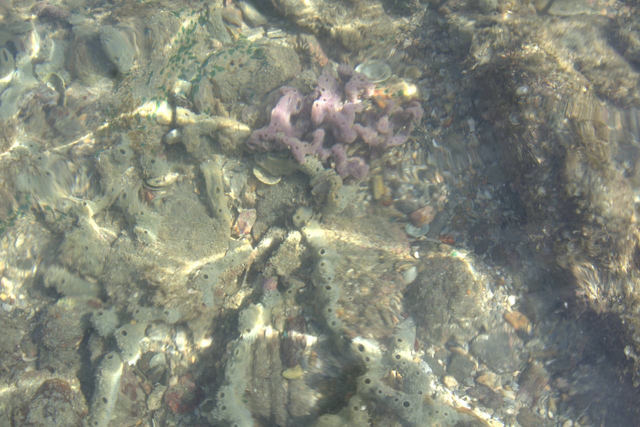 Desaru Beach and Tide Pool Walk – photo 36
