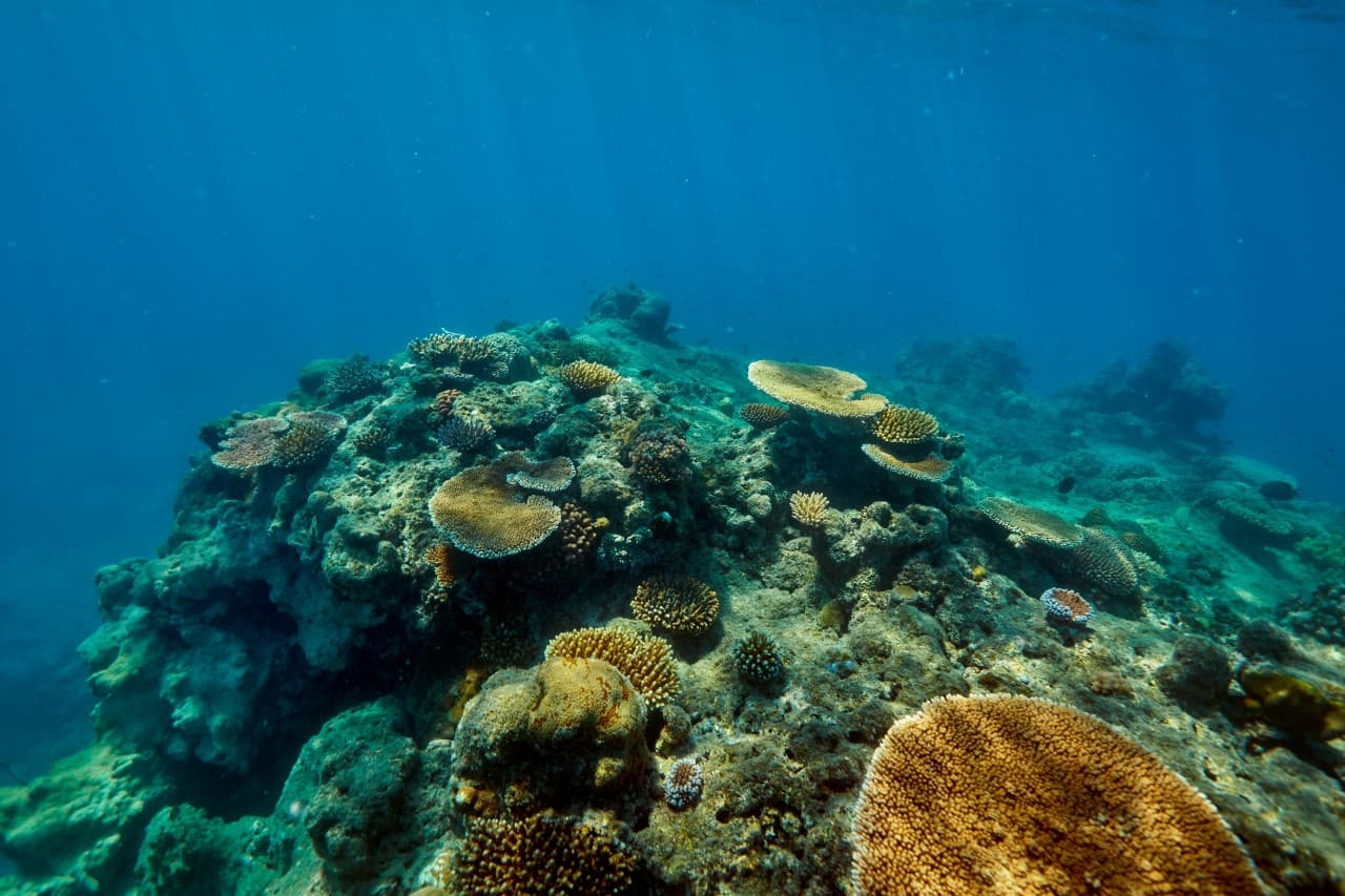 Green Island Reef Full-Day Cruise – photo 6