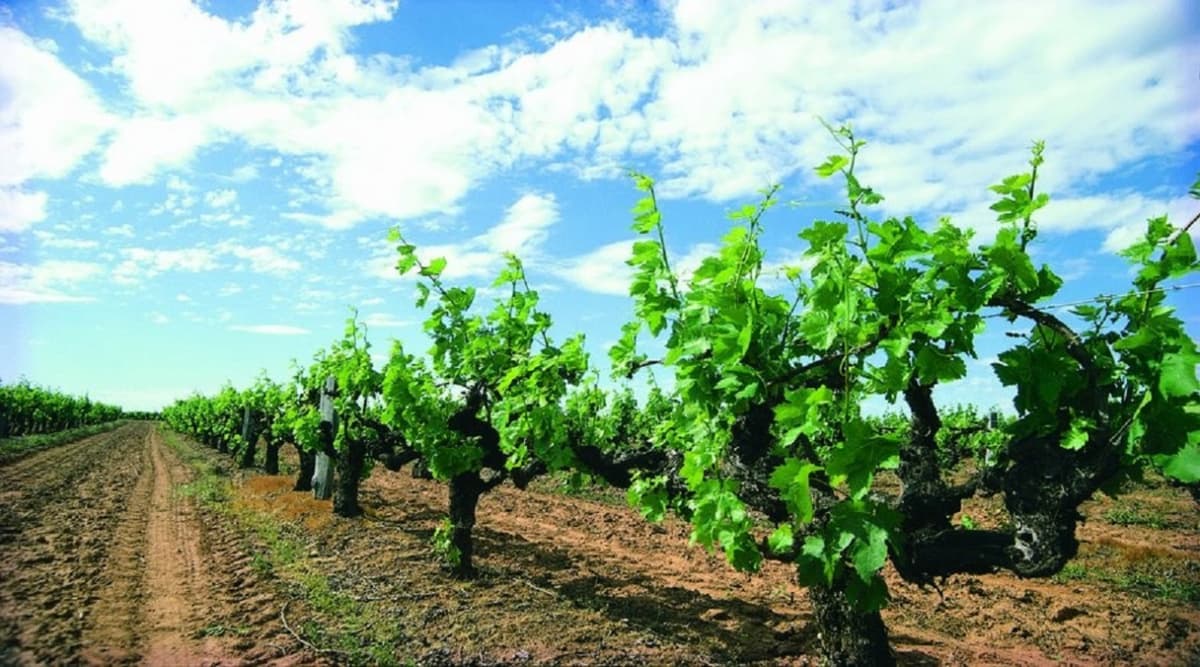 Margaret River Beer Tasting Tour from Perth