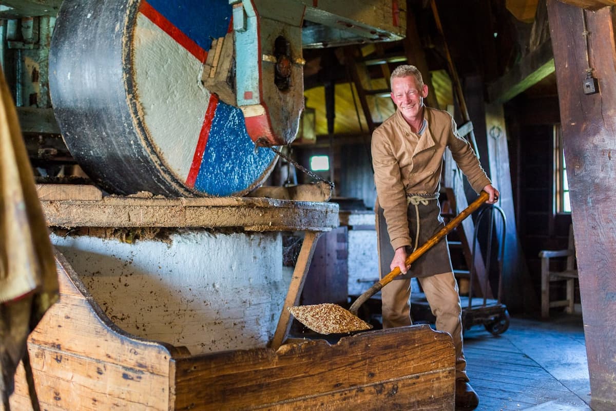 Volendam, Marken, and Windmills Half-Day Tour from Amsterdam