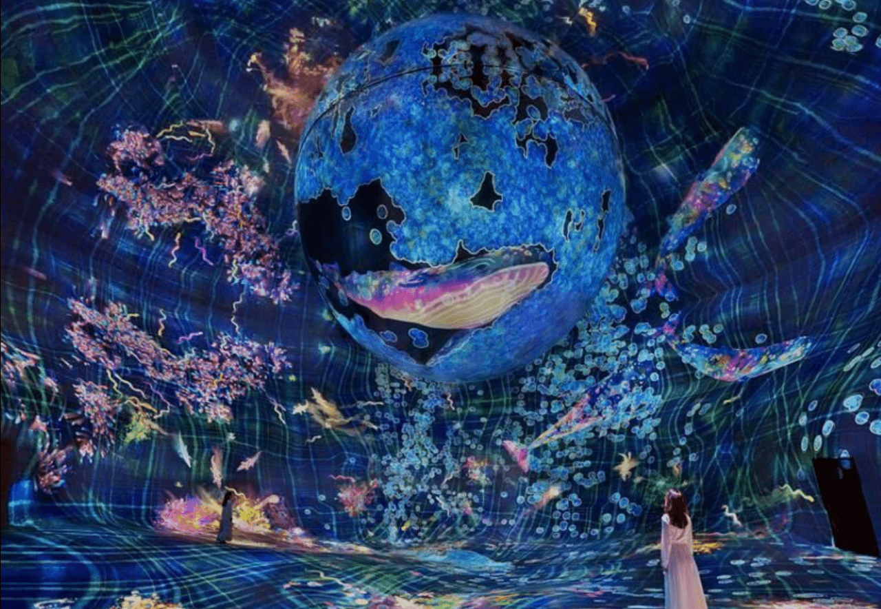 teamLab Phenomena Abu Dhabi Ticket