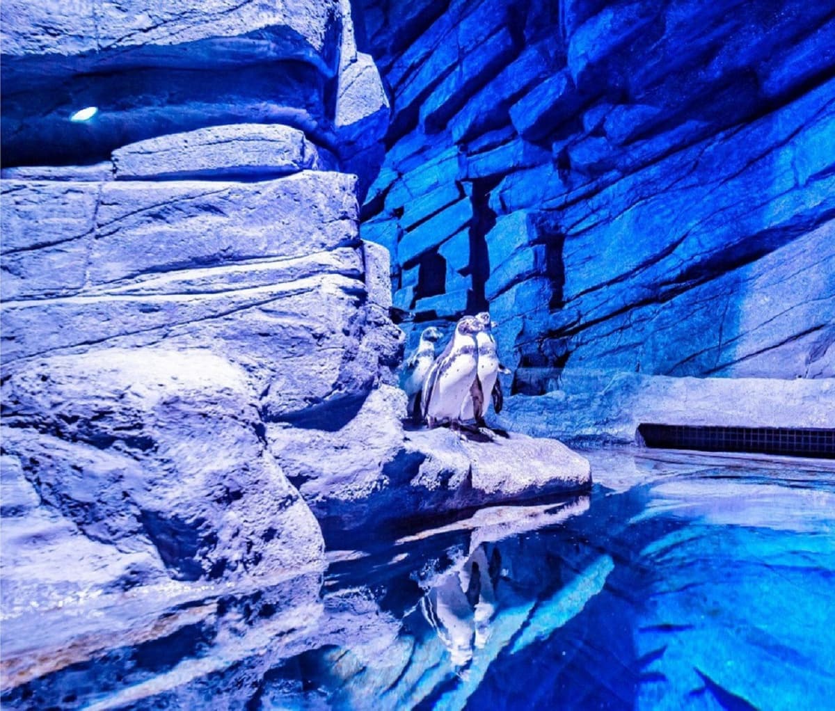 Aquaria Phuket