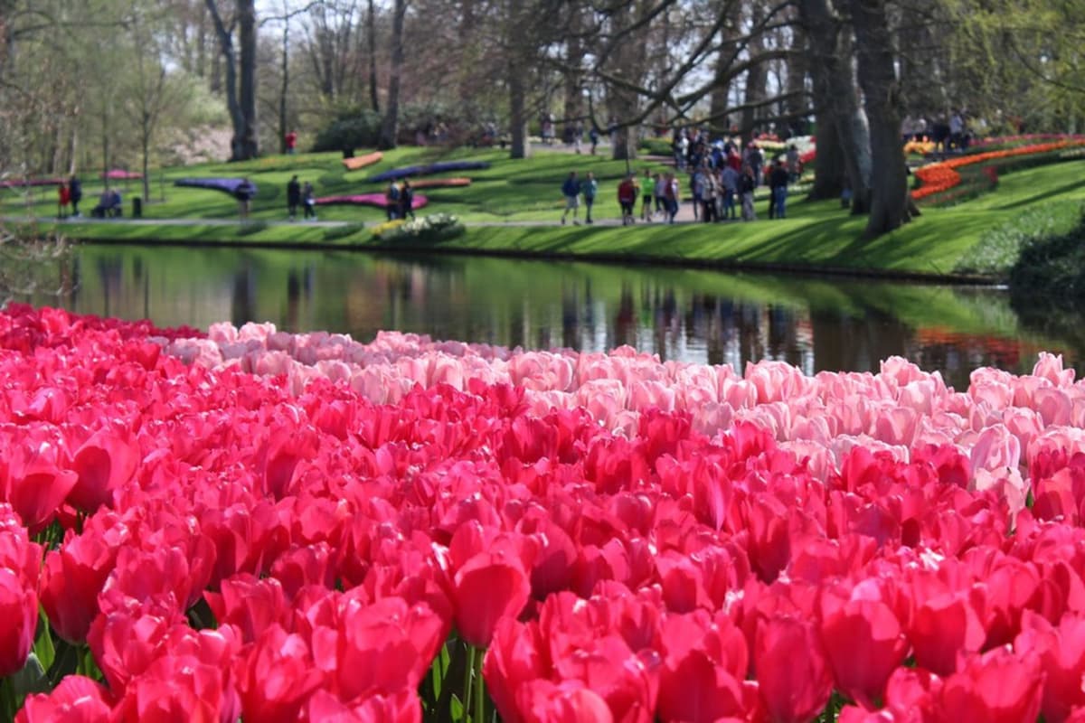Keukenhof Gardens Ticket with Round Trip Bus Transfer from Amsterdam