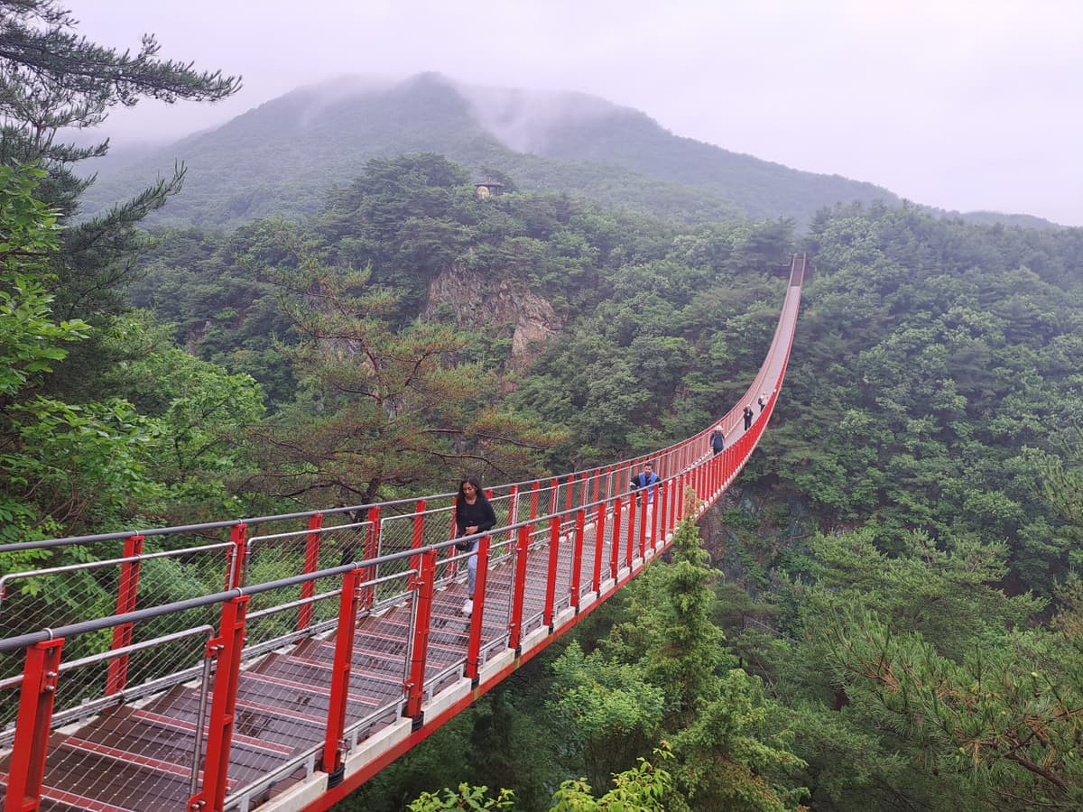Korean Demilitarized Zone (DMZ) Tour from Seoul