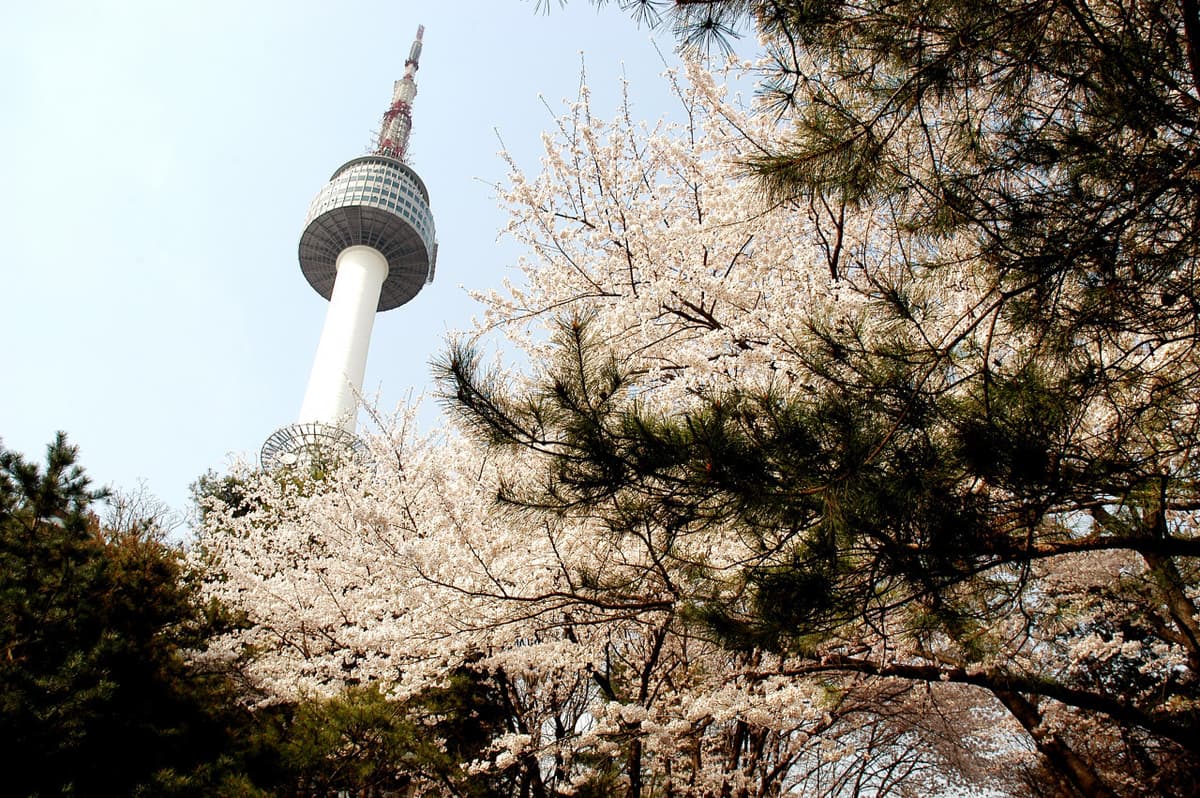 COMBO: AREX Incheon Airport Express Train + N Seoul Tower Observatory