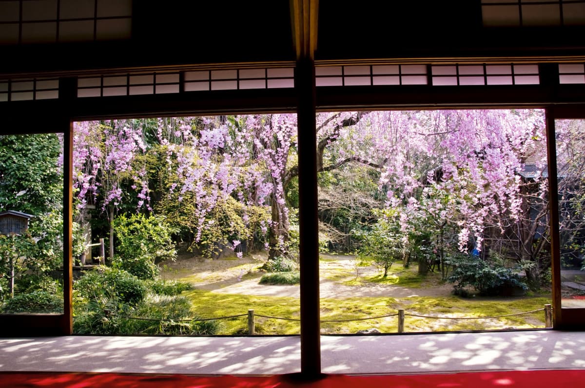 Myoshinji Temple Self-Guided Tour with Lunch