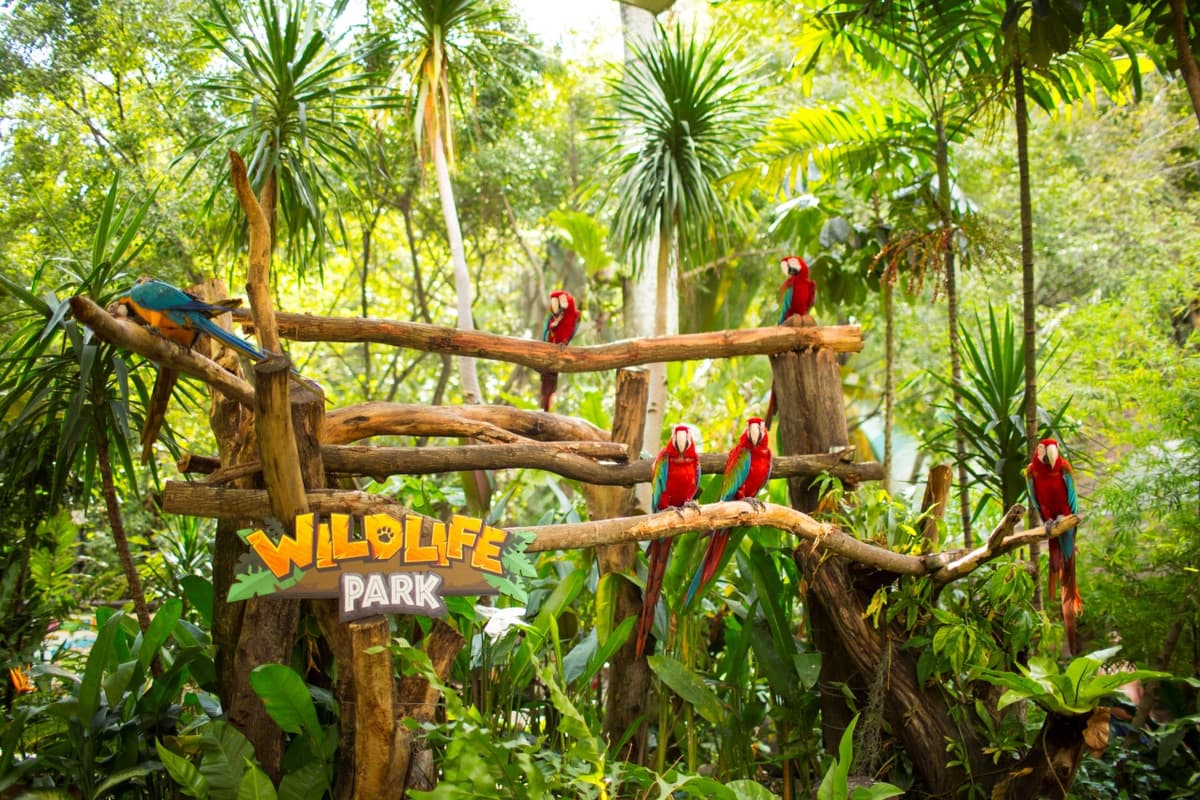 COMBO: Sunway Lagoon Theme Park Ticket + Quack Xpress Pass