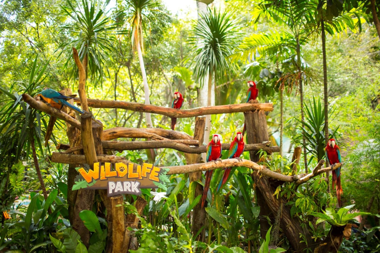 COMBO: Sunway Lagoon Theme Park Ticket + Quack Xpress Pass
