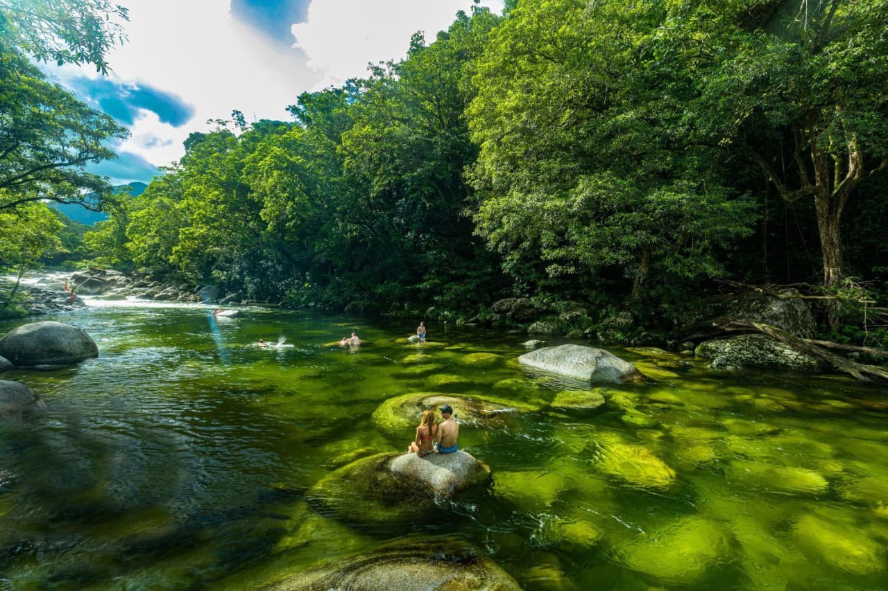 Daintree, Mossman Gorge, and Wildlife Habitat Port Douglas Full-Day Tour – photo 4