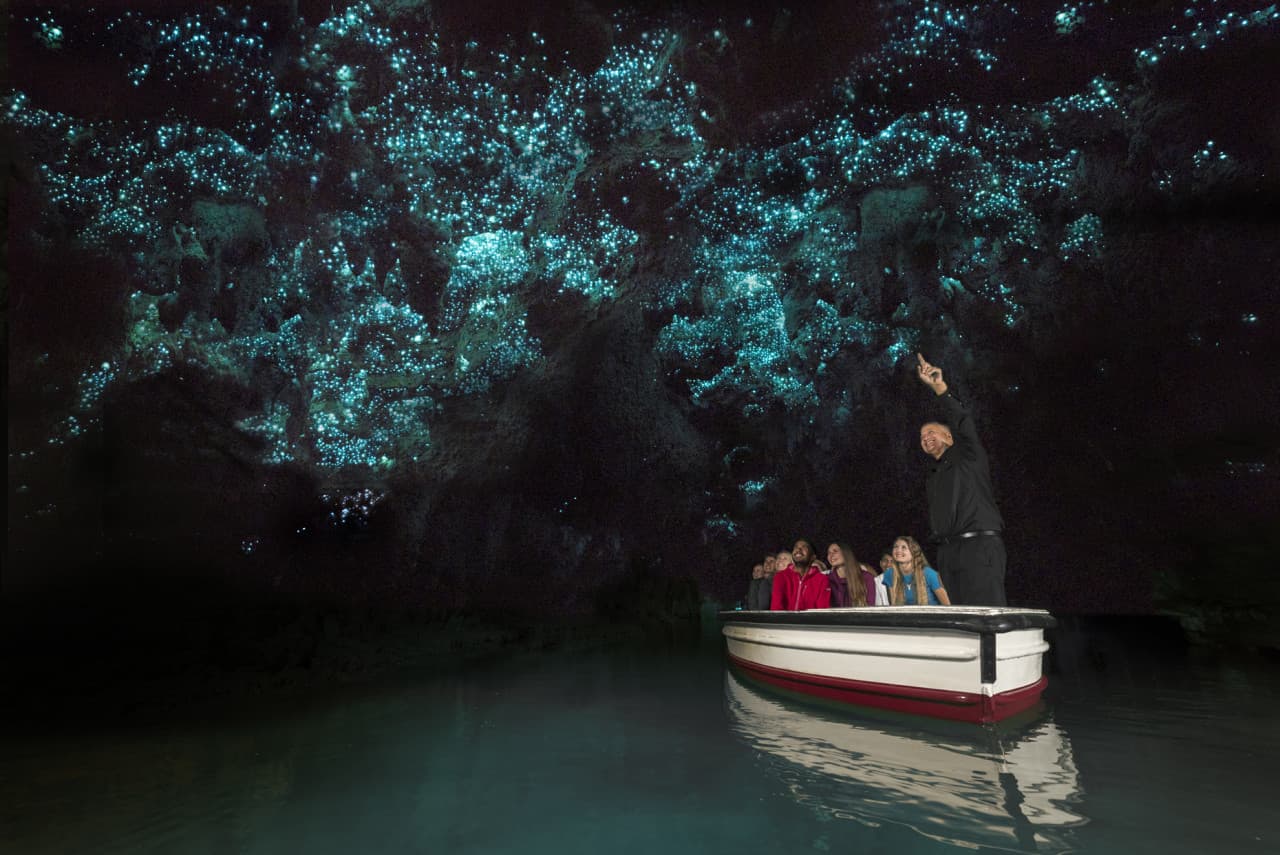 Waitomo Glowworm Caves Tour from Rotorua – photo 2