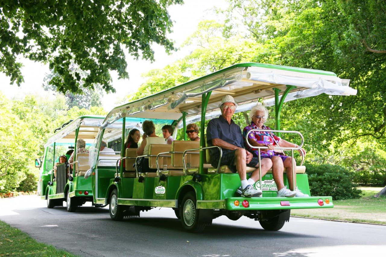 Christchurch Attractions - Christchurch Botanic Gardens - CHCTDCBGCHCDAYA – photo 7