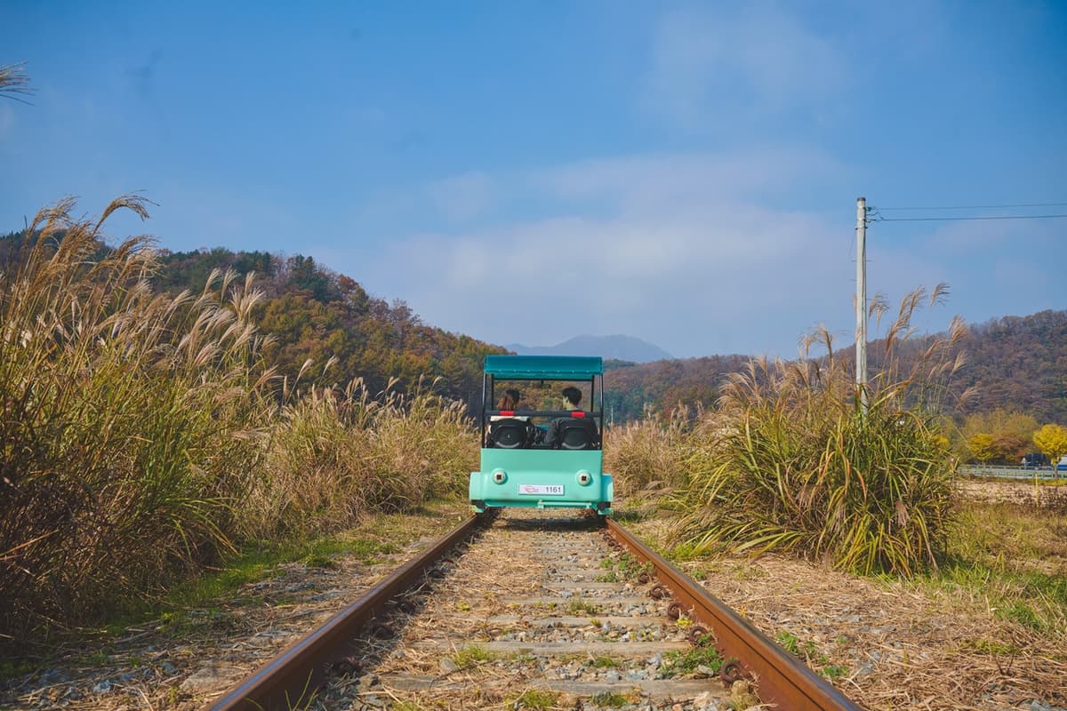 Nami Island, Mount Seorak, and Gapyeong Rail Bike Full-Day Tour from Seoul