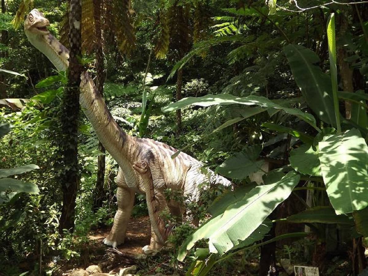 Okinawa Dino Park Yanbaru Subtropical Forest Ticket