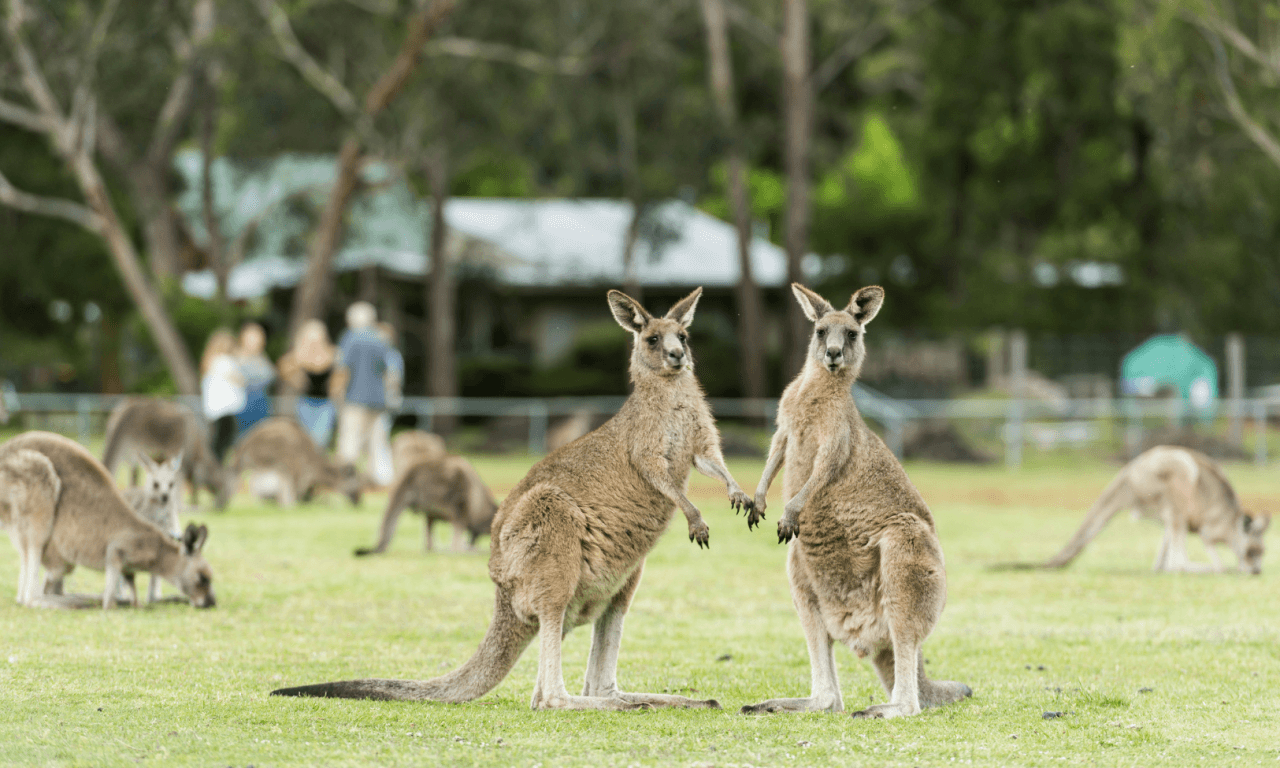 Grampians National Park Day Tour from Melbourne – photo 18