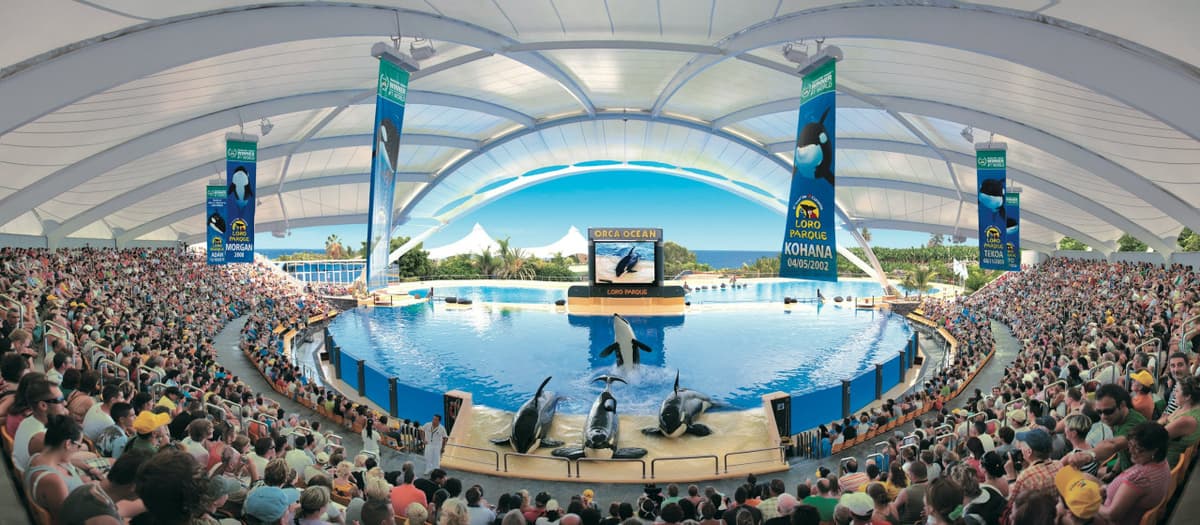 Loro Parque Ticket