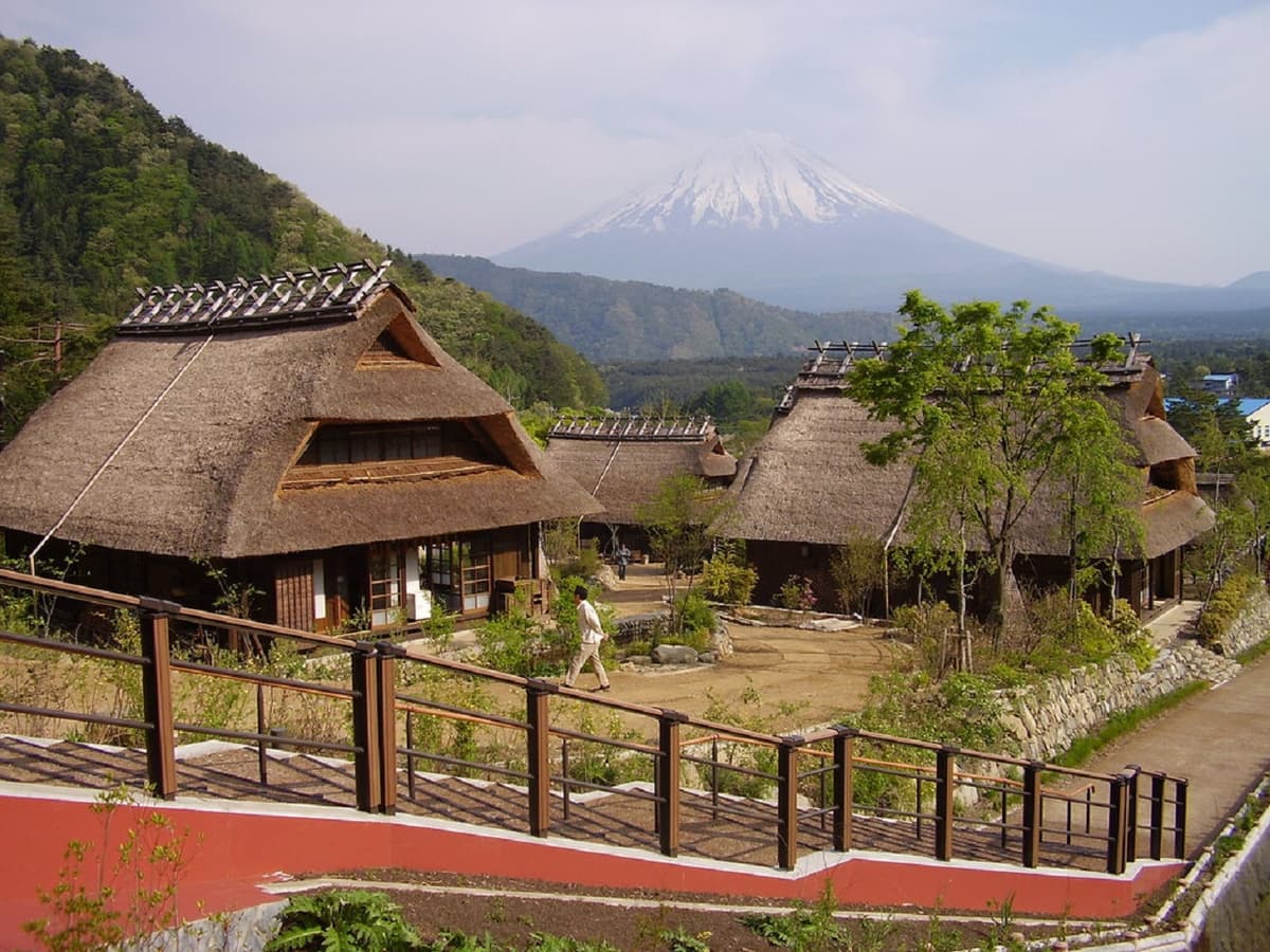Mount Fuji and Arakurayama Sengen Park 1 Day Bus Tour