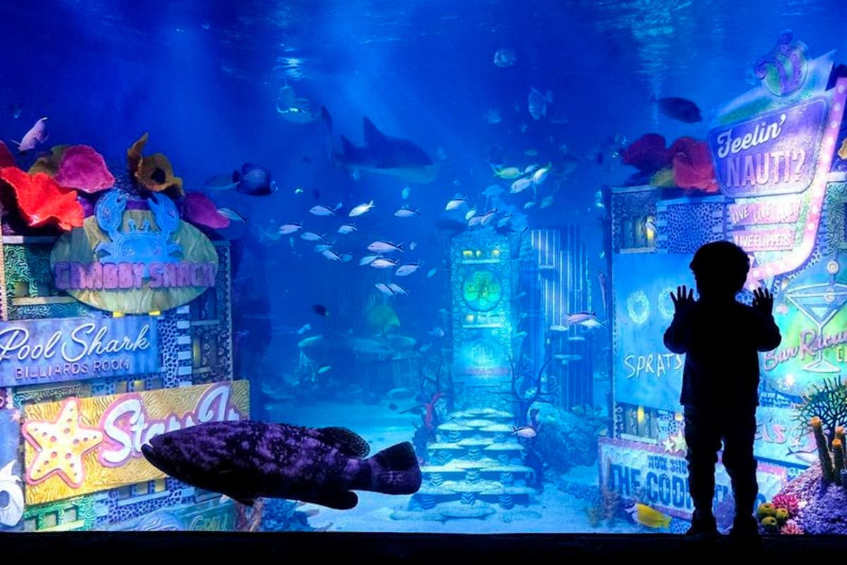 SEA LIFE New Jersey Aquarium Ticket
