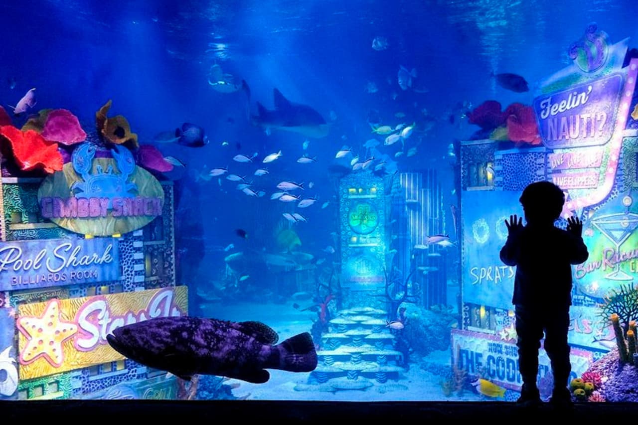 SEA LIFE New Jersey Aquarium Ticket