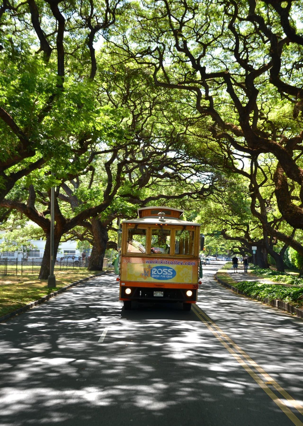 Waikiki Trolley Hop-on Hop-off Bus Tour
