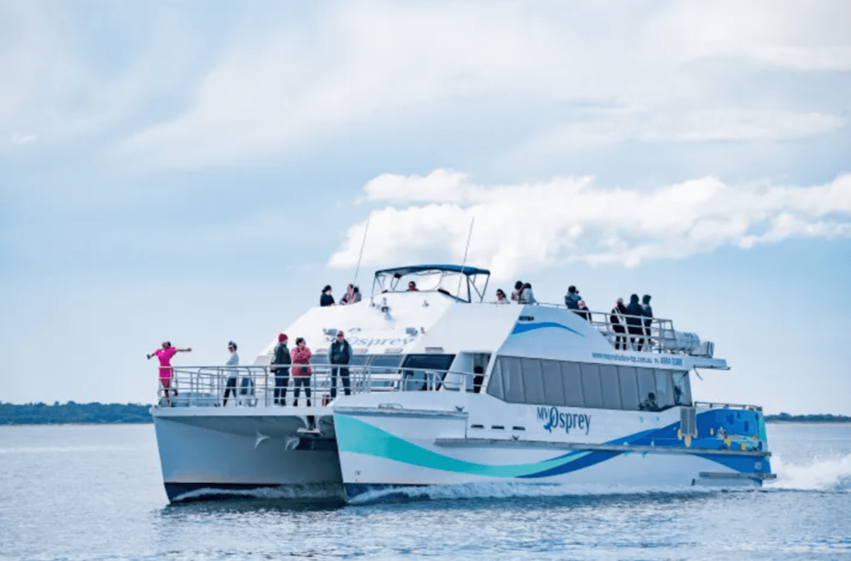 Port Stephens Dolphin Watch and Eco Adventure Cruise