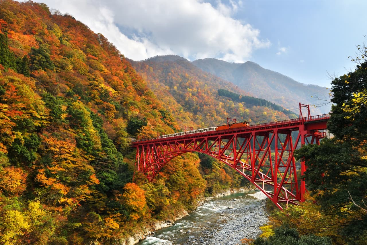 Kurobe Gorge Railway Ticket – photo 2