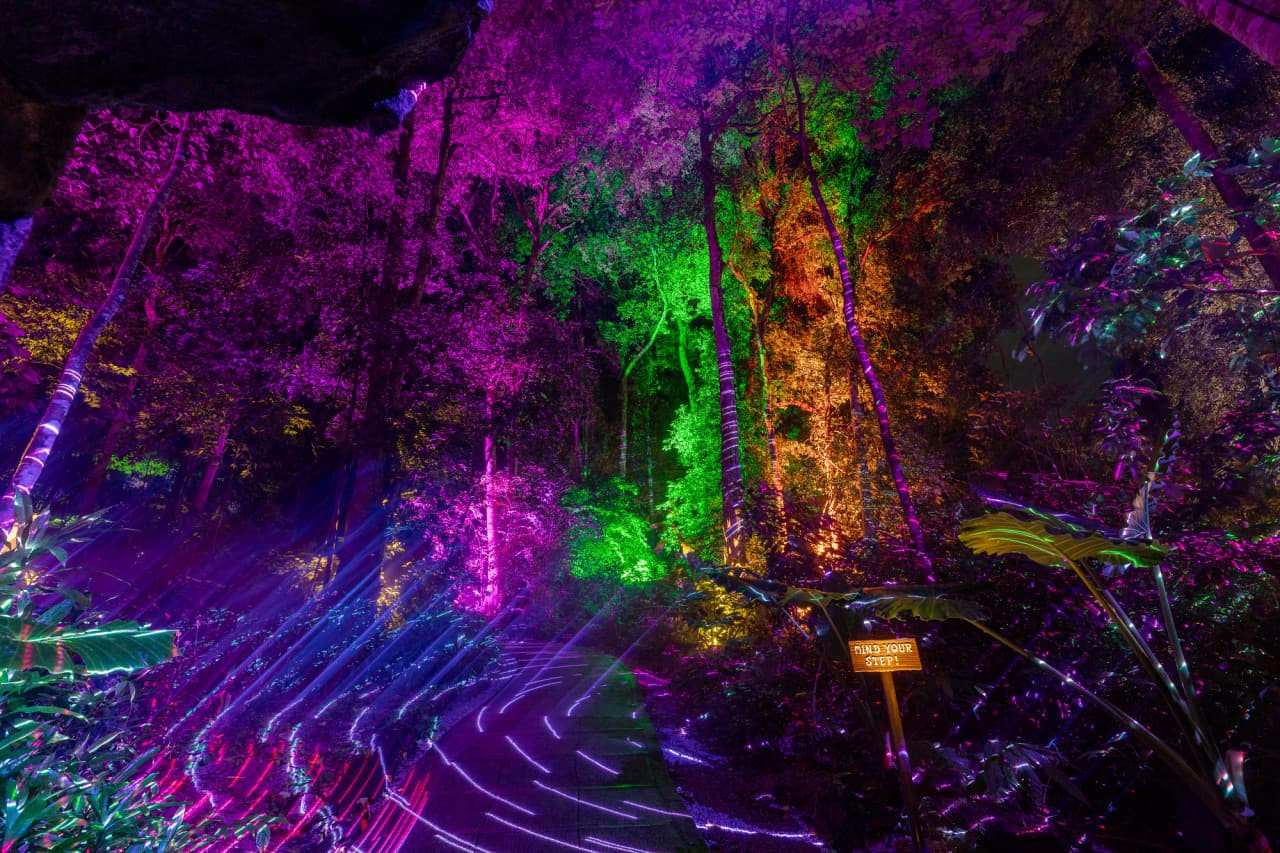 Dream Forest Langkawi – photo 2