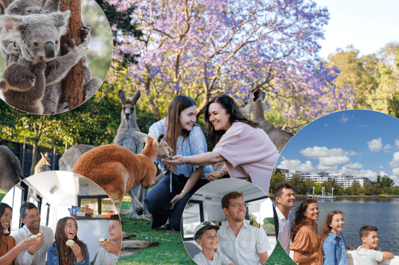 Lone Pine Koala Sanctuary Entry Ticket with Cruise – photo 2