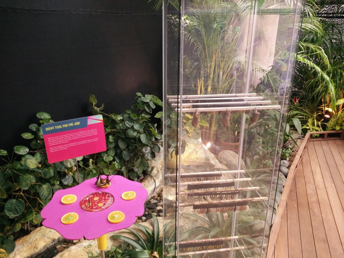 Science Centre Singapore, Omni Theatre, and KidsSTOP Singapore Ticket