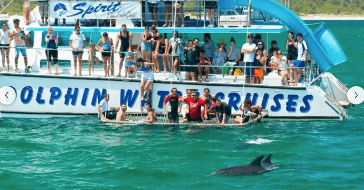 Port Stephens Dolphin Discovery Cruise