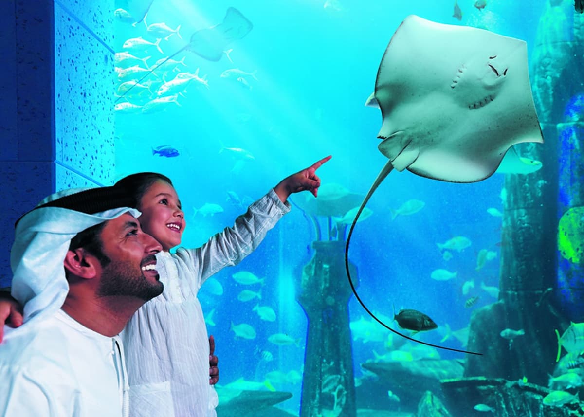 COMBO: The View at The Palm + Lost World Aquarium