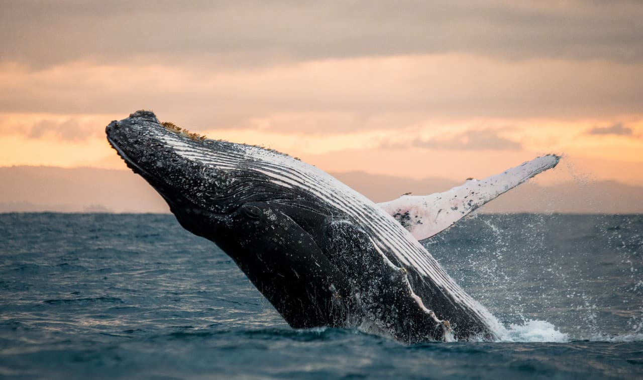 Go City San Diego Explorer Pass: Save up to 50% on Attractions