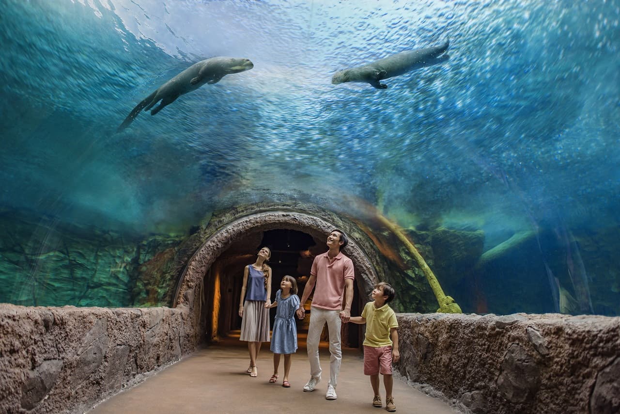 5-in-1 Day Pass: Night Safari + Singapore Zoo + Bird Paradise + River Wonders + Rainforest Asia – photo 11