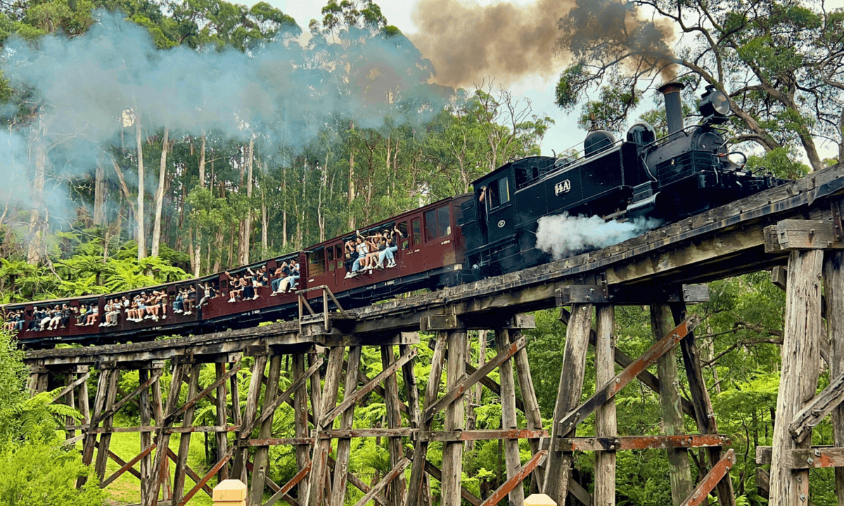 Puffing Billy Steam Train Half-Day Tour