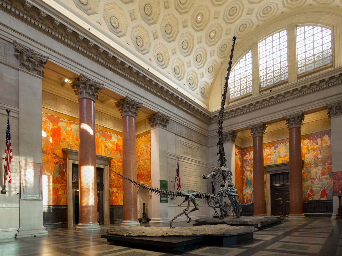 Go City New York Explorer Pass: Save up to 50% on Attractions