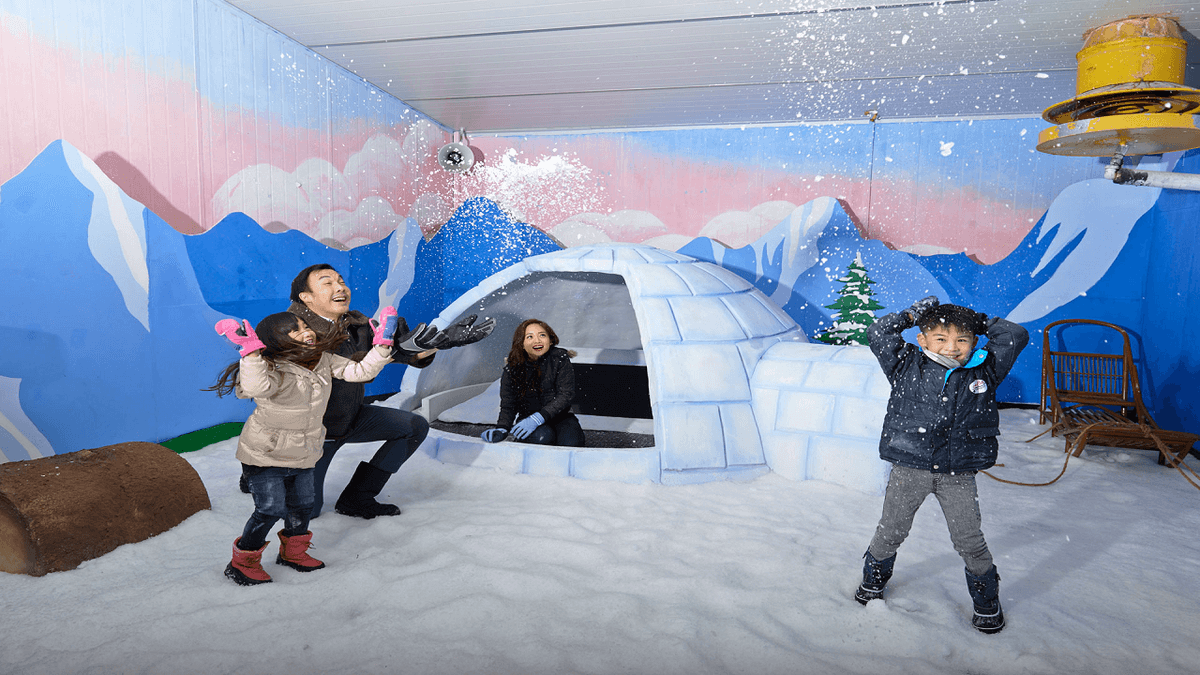 Snow City Singapore Ticket