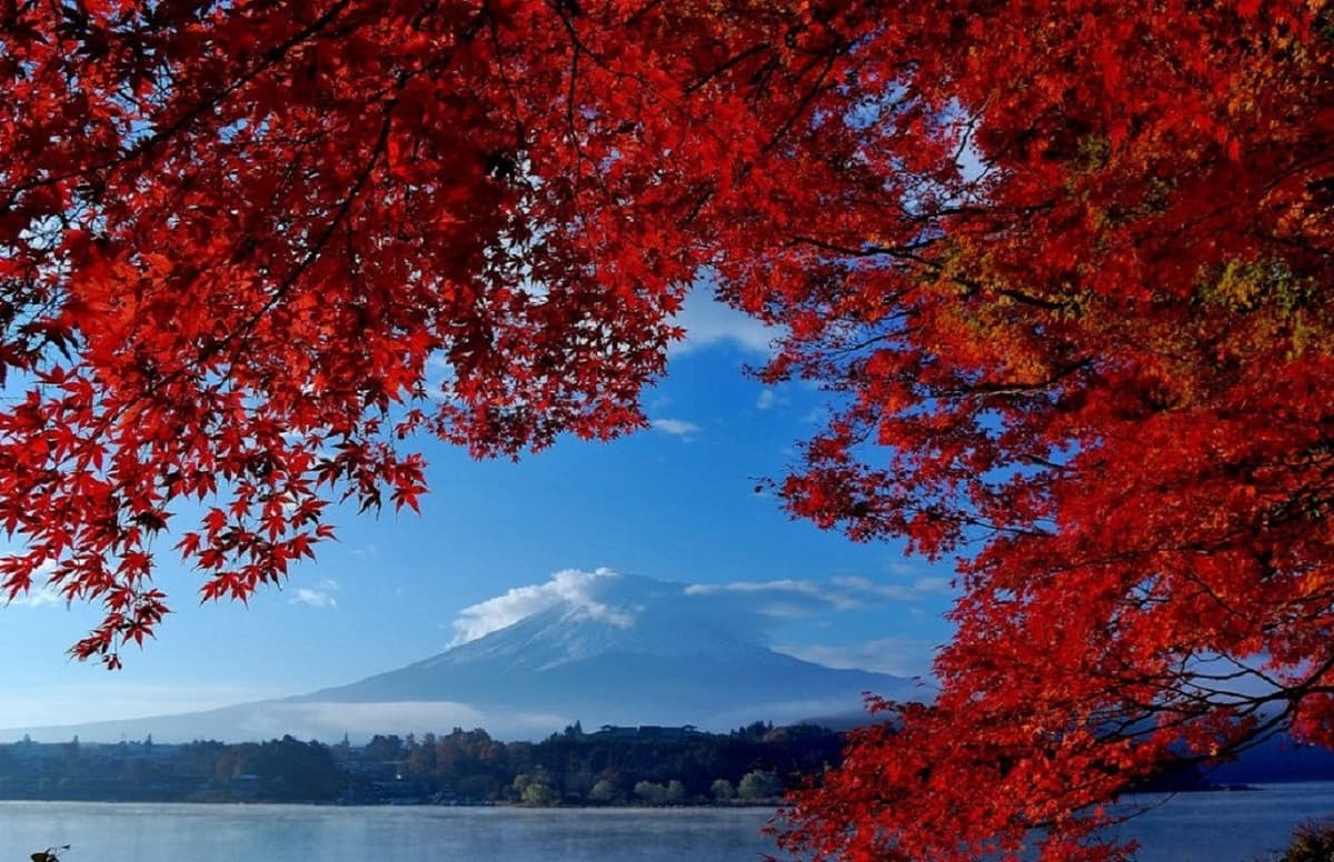 Mount Fuji and Arakurayama Sengen Park 1 Day Bus Tour