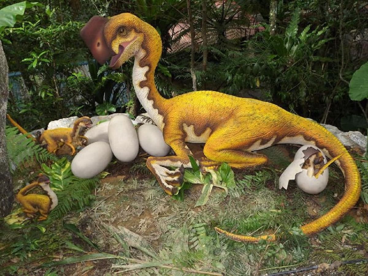 Okinawa Dino Park Yanbaru Subtropical Forest Ticket