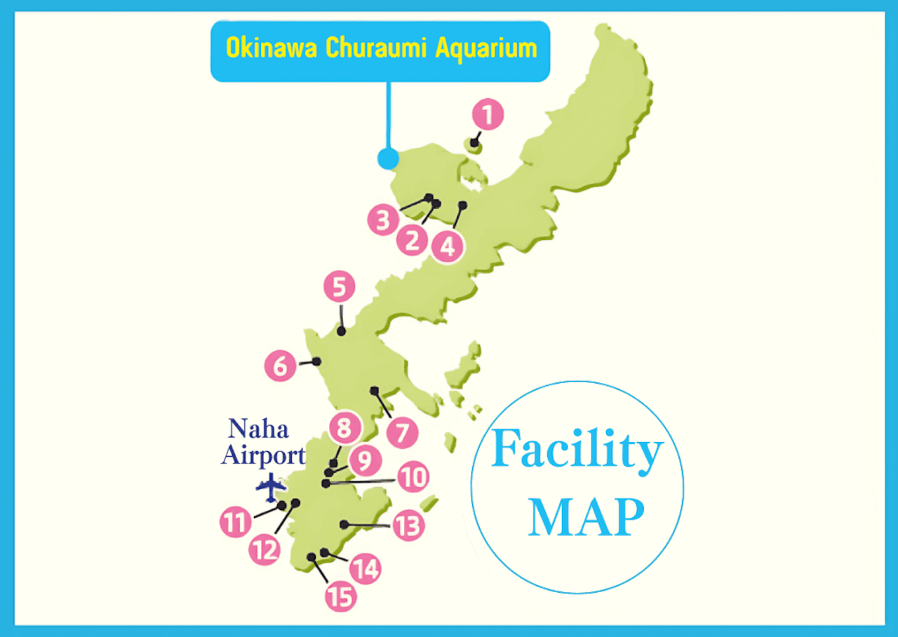 Okinawa Churaumi TokuToku 5 Pass – photo 17
