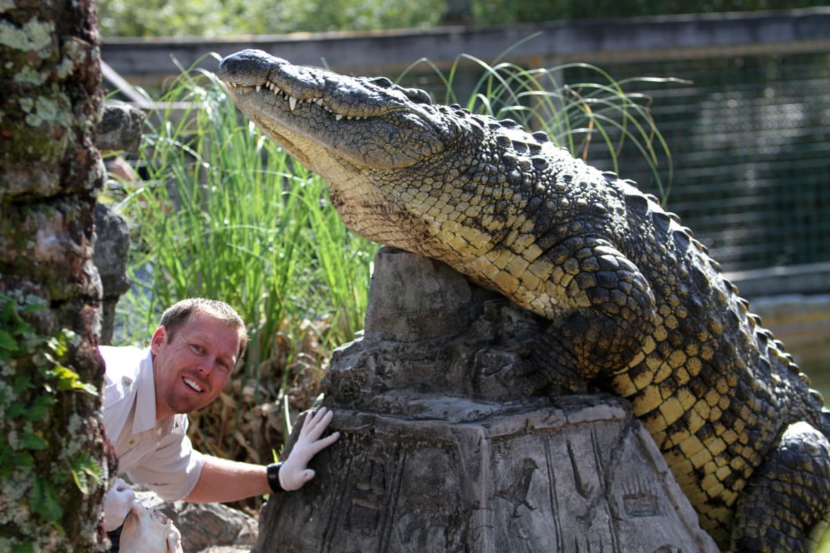 Go City Orlando All-Inclusive Pass: Save up to 50% on Attractions