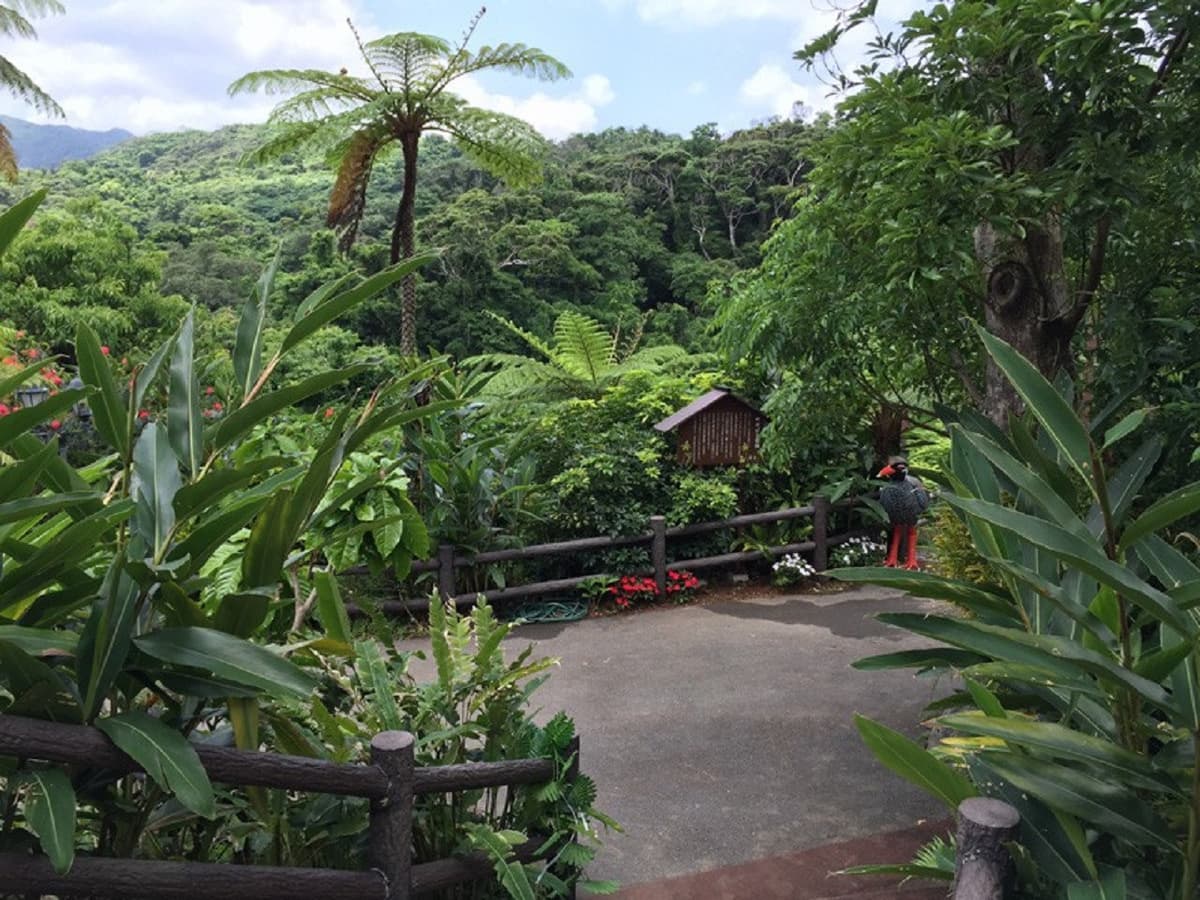Okinawa Dino Park Yanbaru Subtropical Forest Ticket