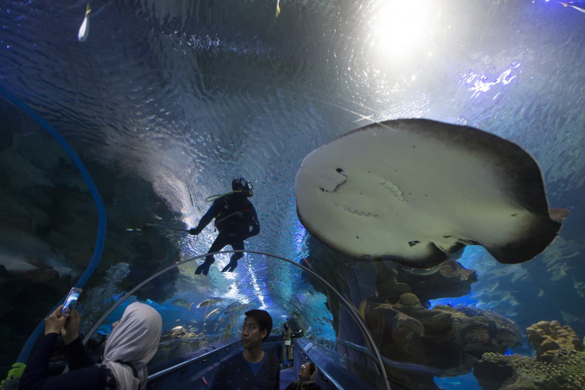 COMBO: KL Hop-on Hop-off Sightseeing Bus Tour + Aquaria KLCC Ticket