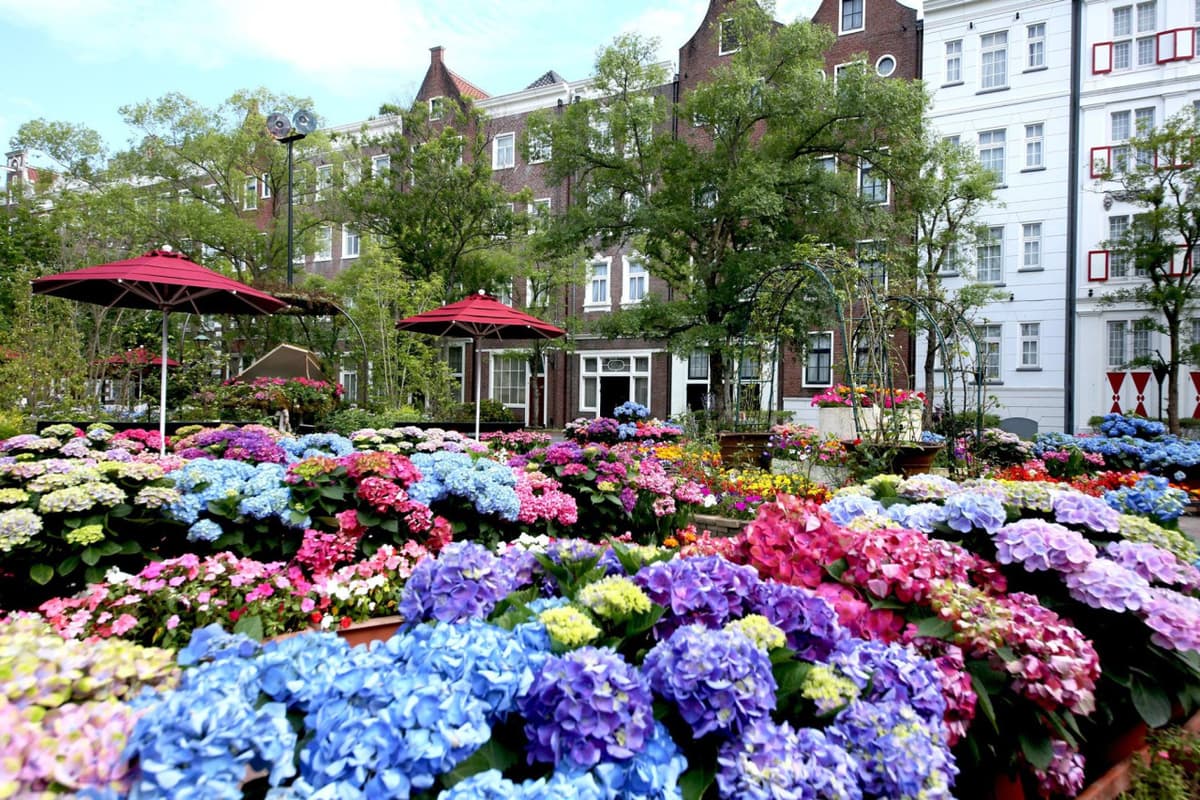 Huis Ten Bosch Theme Park