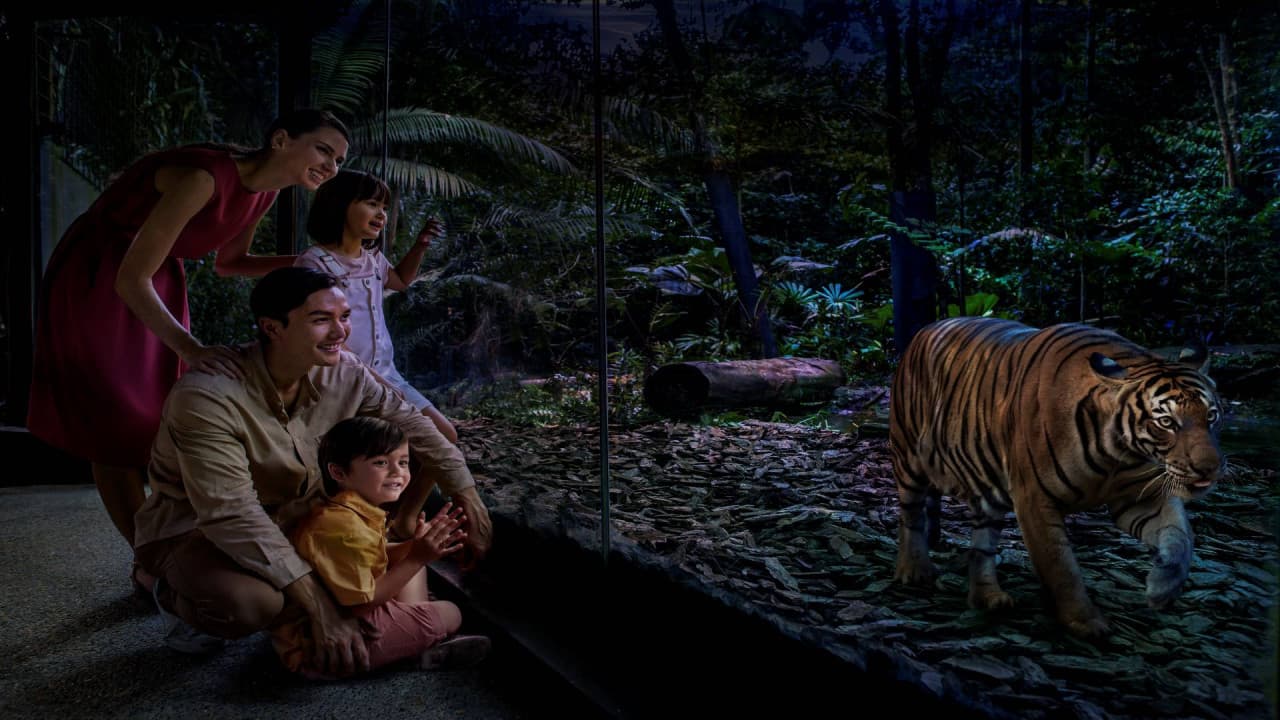 5-in-1 Day Pass: Night Safari + Singapore Zoo + Bird Paradise + River Wonders + Rainforest Asia – photo 17