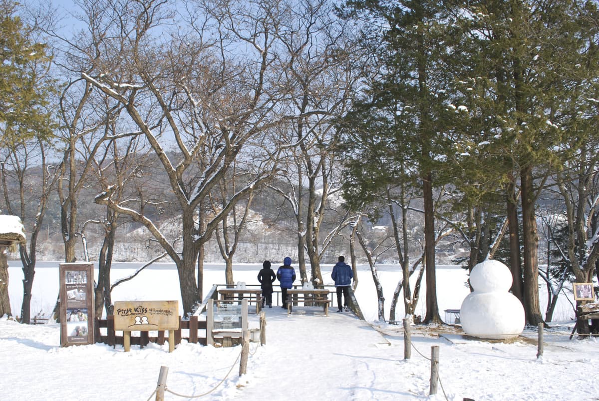Vivaldi Park Ski World and Nami Island Full-Day Tour from Seoul