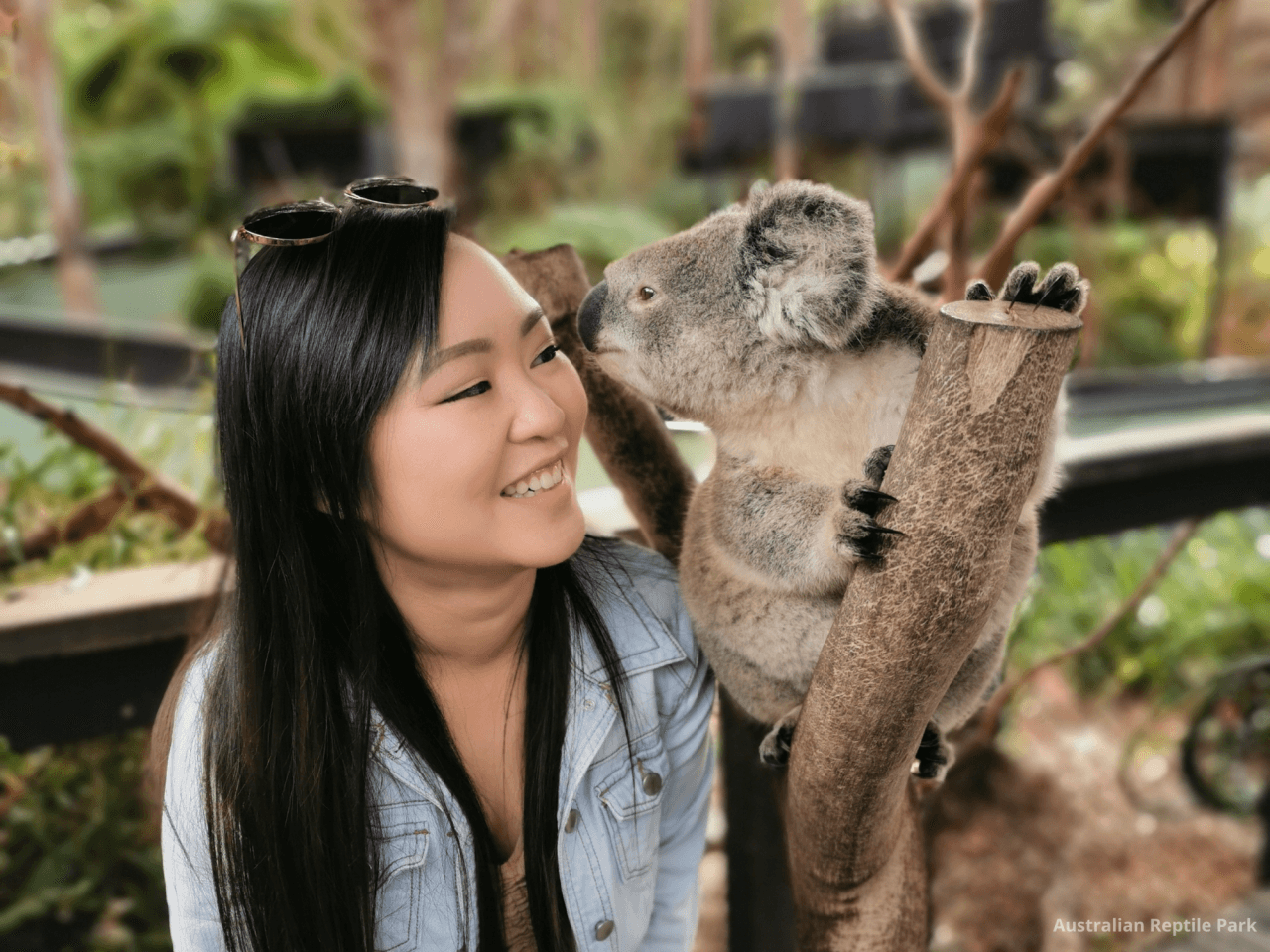 Australian Reptile Park – photo 25