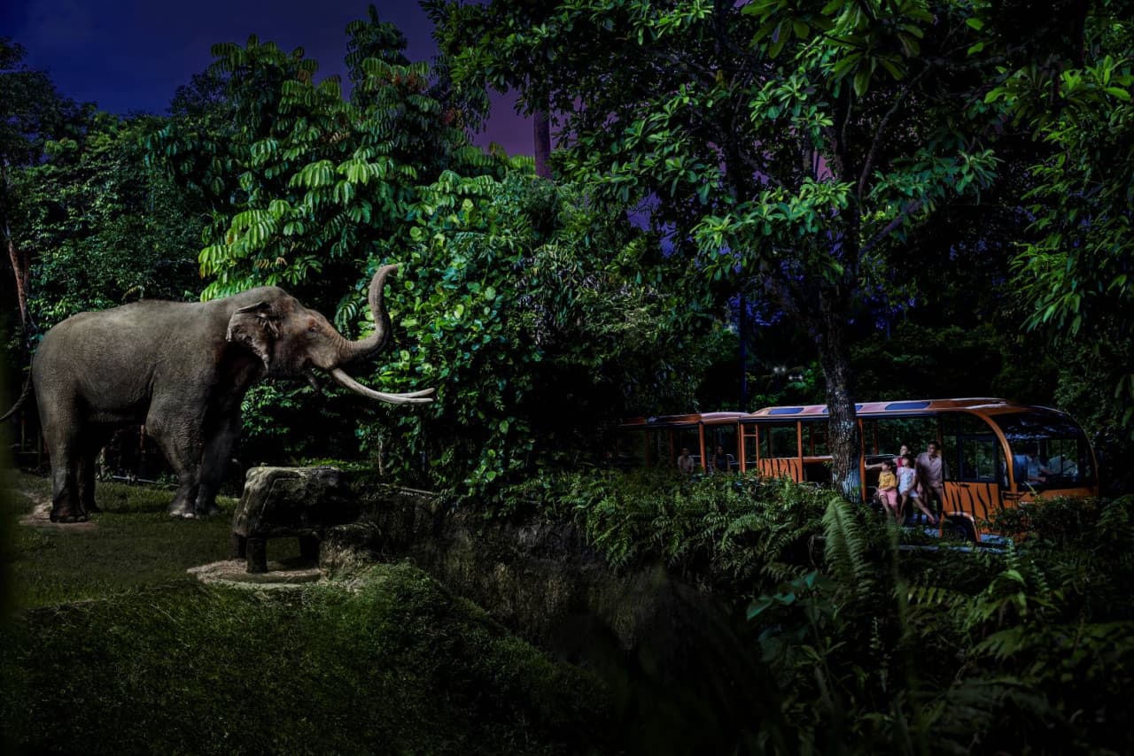 5-in-1 Day Pass: Night Safari + Singapore Zoo + Bird Paradise + River Wonders + Rainforest Asia – photo 14