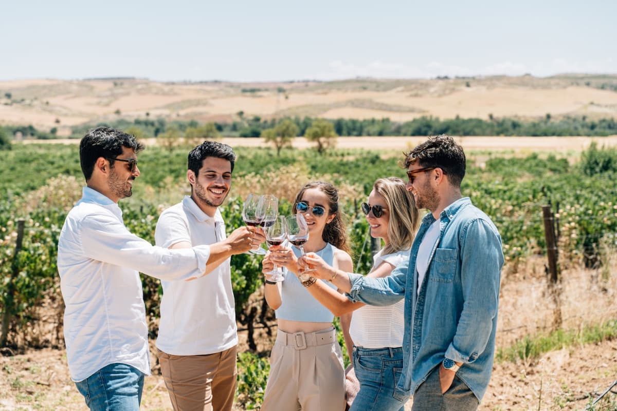 Toledo City Tour from Madrid with Wine Tasting Experience